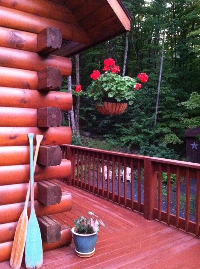 The Catskill Cabin Elka Park Екстериор снимка